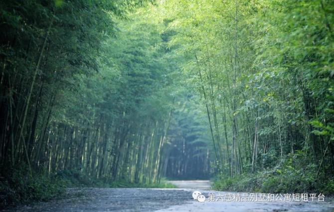 杭州莫干山周末2日游，踏雪正当时！1