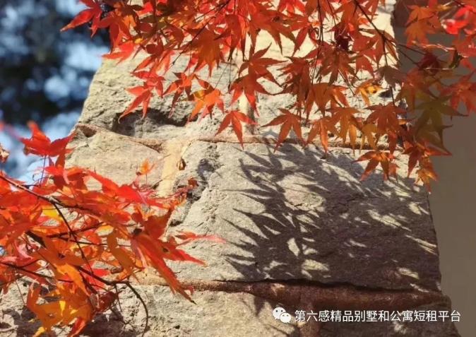 杭州莫干山周末2日游，踏雪正当时！3