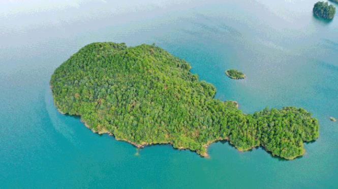 暖冬推荐，千岛湖安麓之旅5