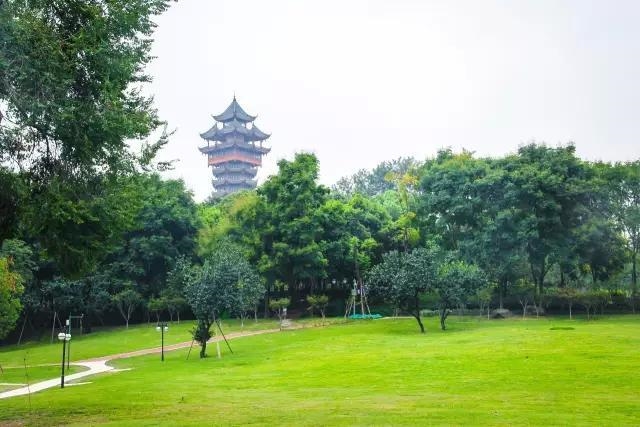 成都塔子山公园游玩攻略,野炊游玩的好去处2