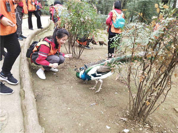 成都塔子山公园游玩攻略,野炊游玩的好去处3