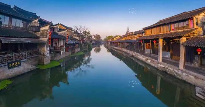 来成都大熊猫基地，跟大熊猫来一次亲密接触5