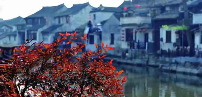 烟雨西塘｜每个人的心底，都深藏着一个江南旧梦6