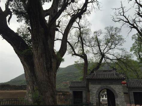 北京灵水村的灵水八景是哪些景点?3