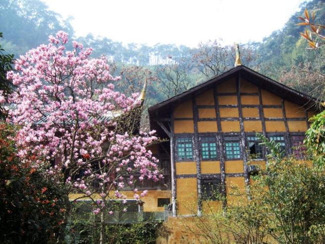 重庆因山城特色被人钟爱，因火锅美食被人垂涎8