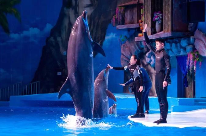 重庆因山城特色被人钟爱，因火锅美食被人垂涎24