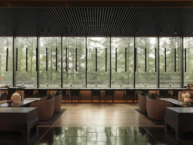 魔都上海顶级酒店推荐，又美又潮又划算又好睡1