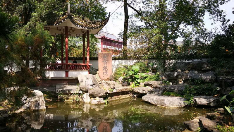 成都百花潭公园游玩攻略，成都人郊游胜地3