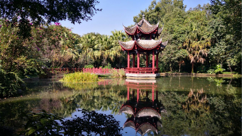 成都百花潭公园游玩攻略，成都人郊游胜地5