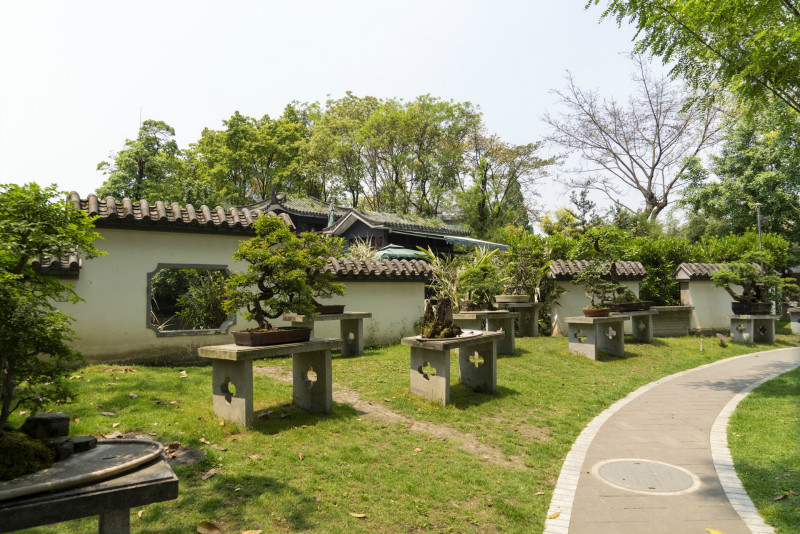 成都百花潭公园游玩攻略，成都人郊游胜地6