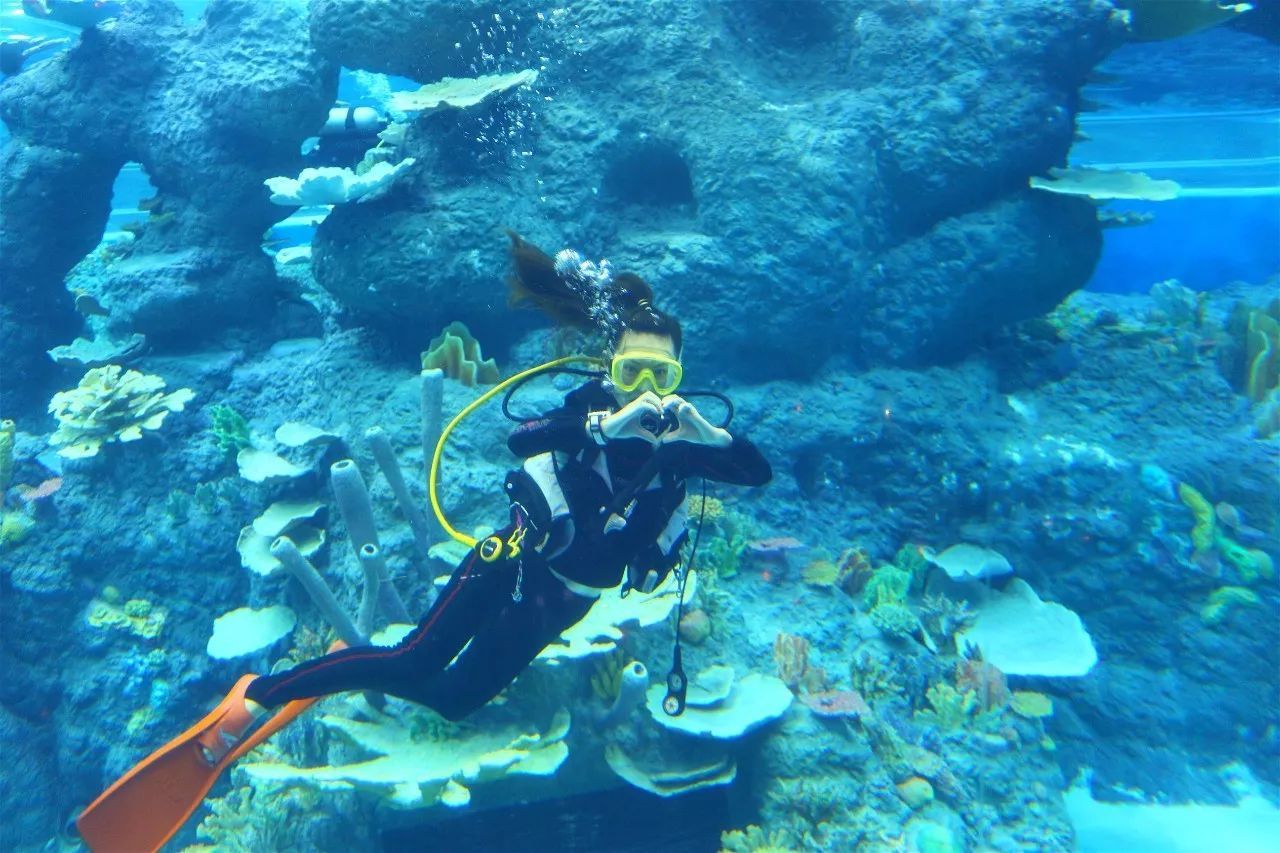 成都海洋馆在哪?有哪些特色?3