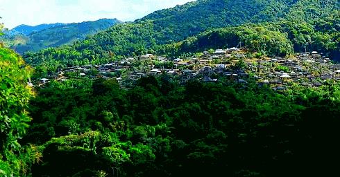 西双版纳 | 这个冬天，与这片人间乐土来个邂逅2