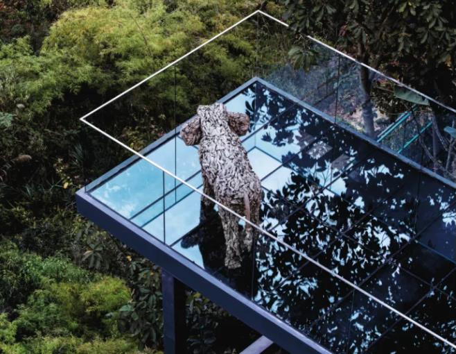 西双版纳 | 这个冬天，与这片人间乐土来个邂逅3