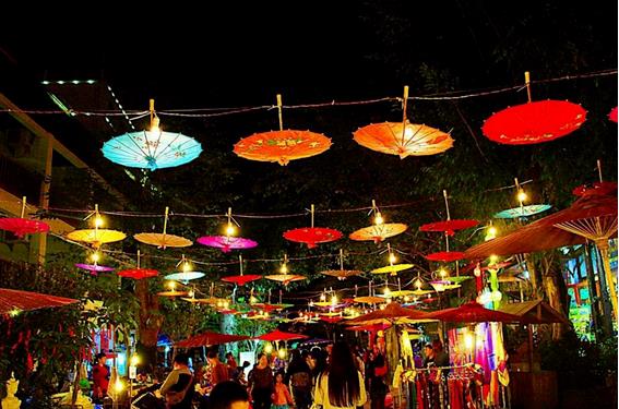 西双版纳 | 这个冬天，与这片人间乐土来个邂逅14