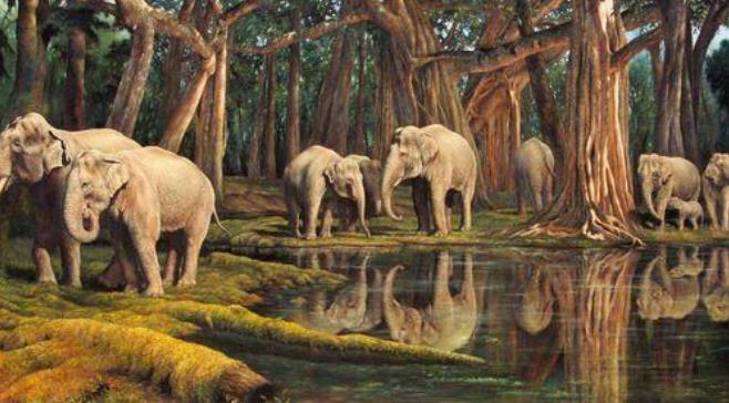 西双版纳 | 这个冬天，与这片人间乐土来个邂逅8