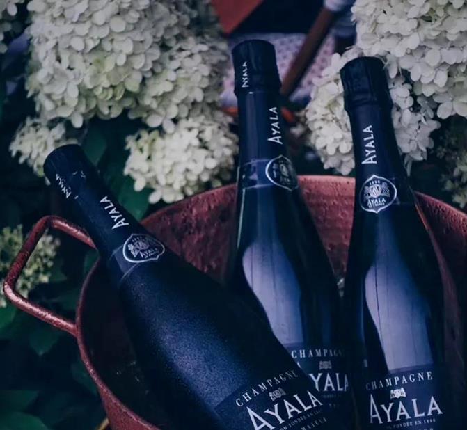 开进山间的酒店—Vallie Hotel5