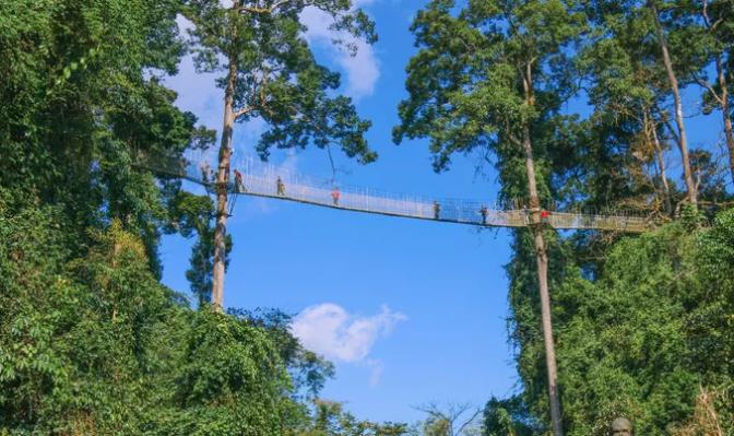 躲进西双版纳,来一场冬季避寒之旅!7