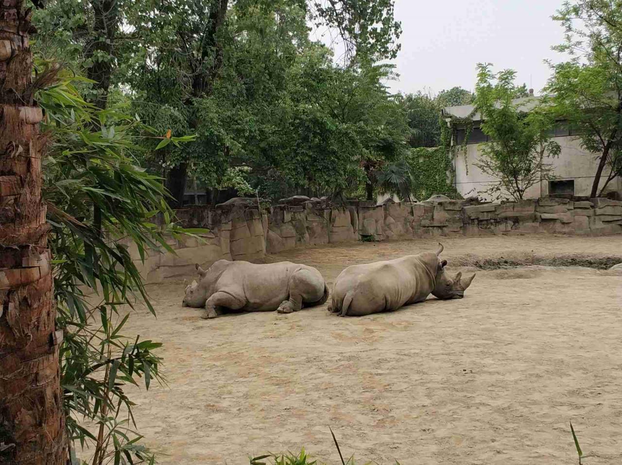 成都动物园旅游攻略,西南地区最大的动物园5