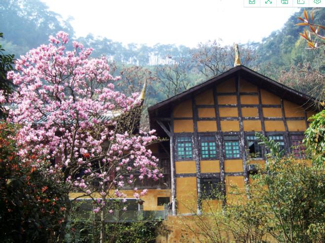 重庆柏联 | 清幽避世,禅意悠悠4