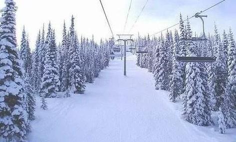 什么时候会觉得冬天很短?当你爱上了滑雪!4