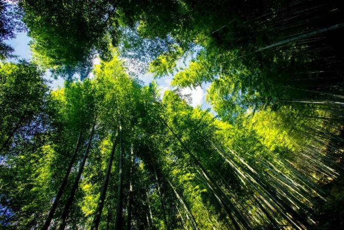 这里有一份国际度假交换攻略,还能边玩边赚钱!9