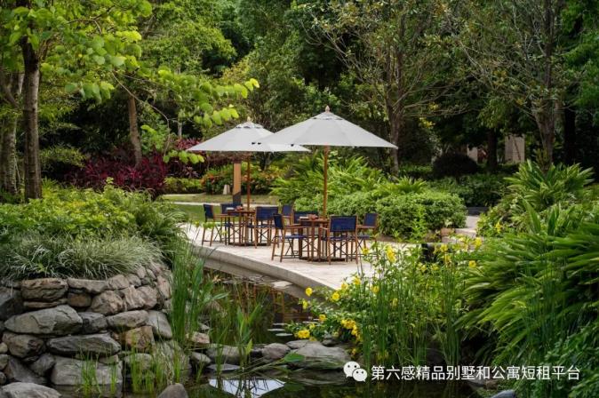 5家Top级温泉度假酒店,留好过冬11