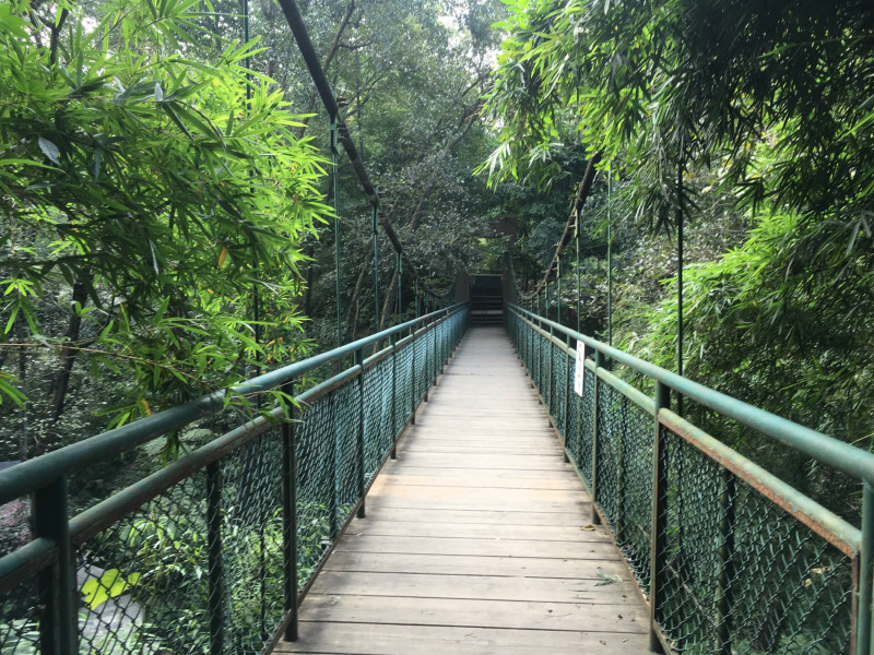 成都植物园游玩攻略,成都近郊一处休闲胜地4