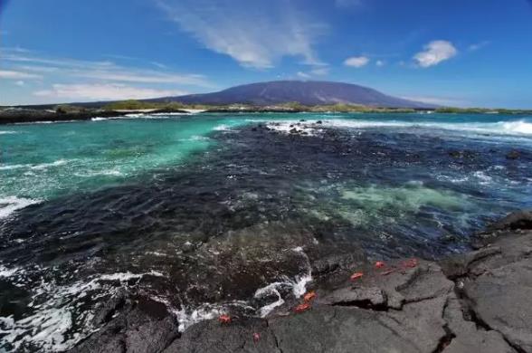 走进《进化论》中物种起源秘密的地方——加拉帕戈斯群岛6