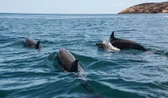 走进《进化论》中物种起源秘密的地方——加拉帕戈斯群岛8