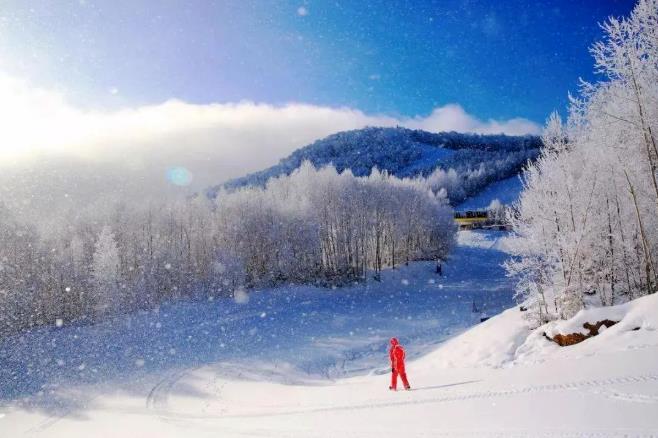 体味不一样的长白山の林海雪原4