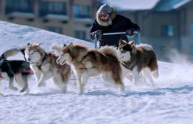 体味不一样的长白山の林海雪原13