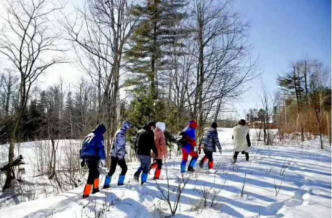 体味不一样的长白山の林海雪原21