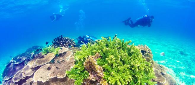 距离三亚机场1h的香水湾的超值独栋泳池别墅6