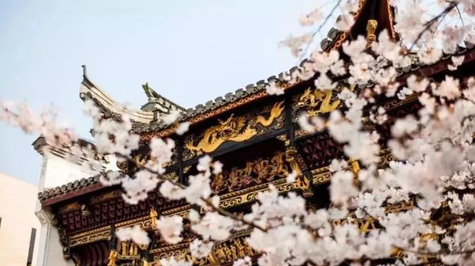 有着「上海威尼斯」之称的朱家角安麓6