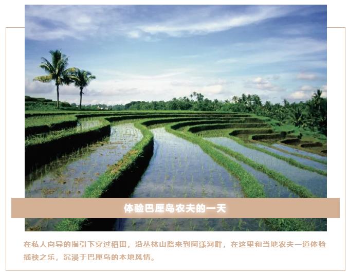 官宣 | 第六感正式加入四季酒店Preferred Partners10