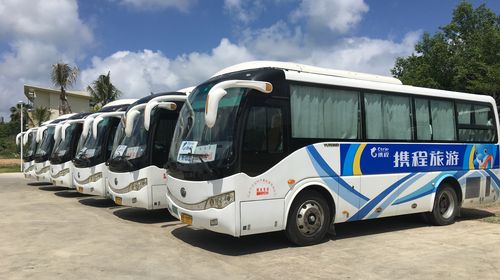 三亚天涯海角旅游攻略,见证爱情的发源地6