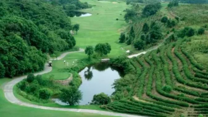 去杭州富春山居,过一个“春”心荡漾的冬季6