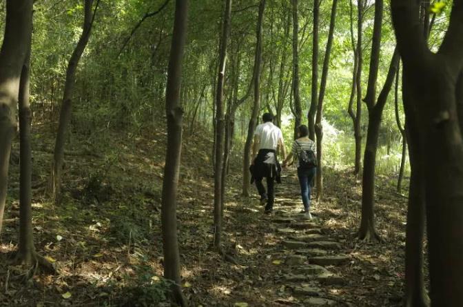 去杭州富春山居,过一个“春”心荡漾的冬季17