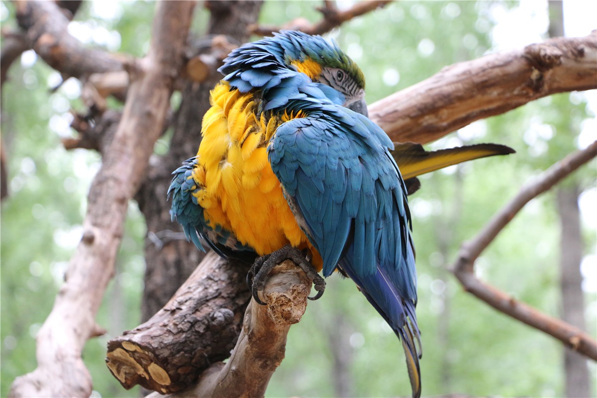 北京动物园在哪里?门票是多少?5