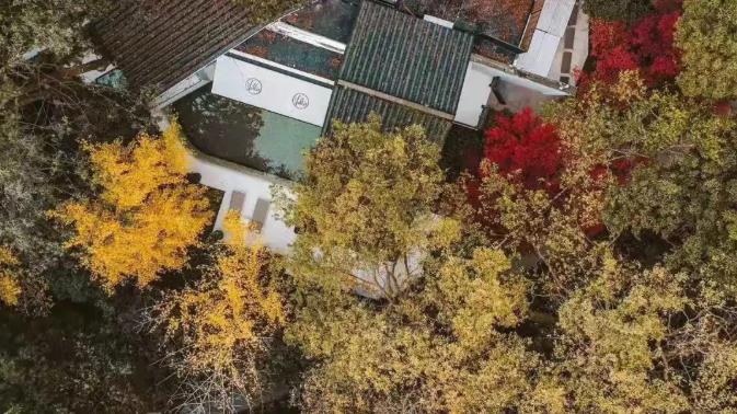 2021春节住哪儿？这些新开的小众野奢酒店等你来体验！21