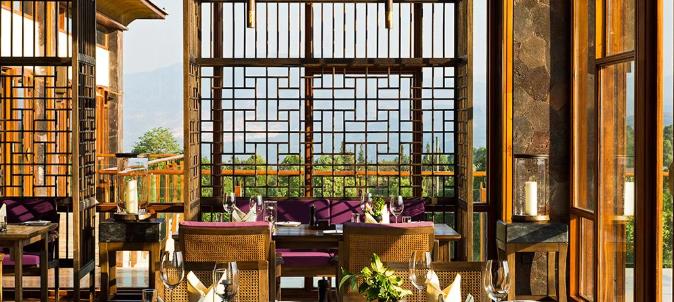 漫步古老茶园,在景迈山做快乐神仙7