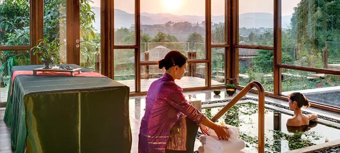 漫步古老茶园,在景迈山做快乐神仙8