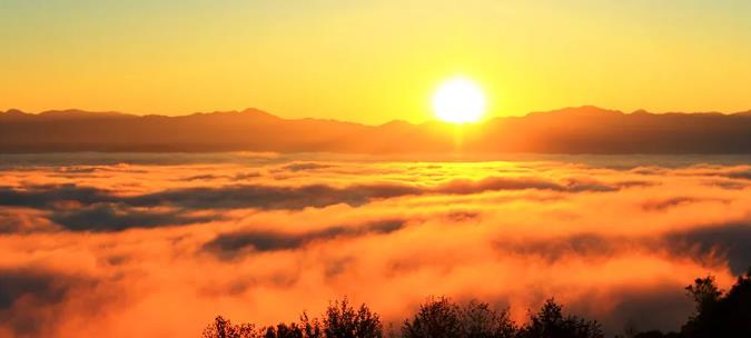 漫步古老茶园,在景迈山做快乐神仙10