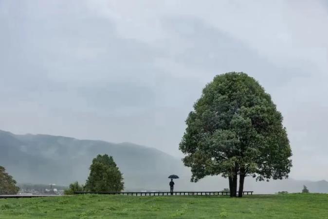 2021去云南旅行，不可错过的酒店~1