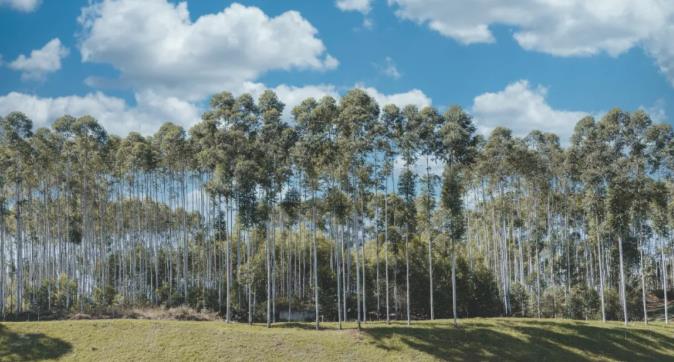 最新开业的美憬阁精选酒店,弥勒绝对值得一去!4