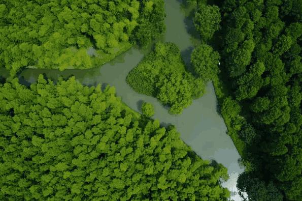 这个冬天,HR必收藏的团建住宿推荐1