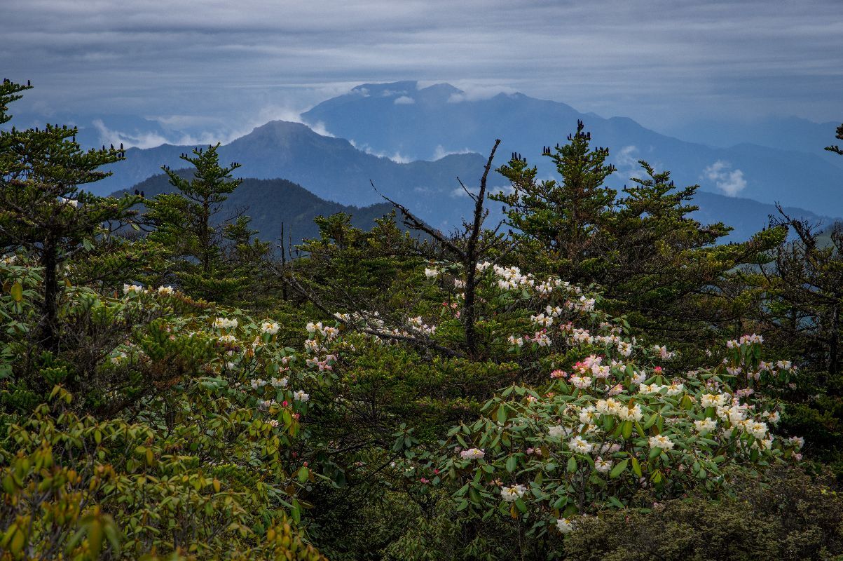 冬季到西岭雪山旅游有哪些景点看呢？4