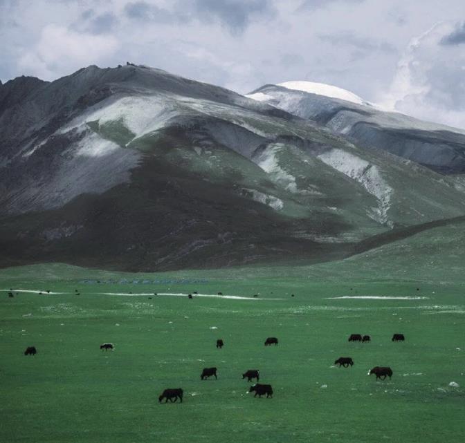 赴一场云南之约，邂逅属于你的酒店1