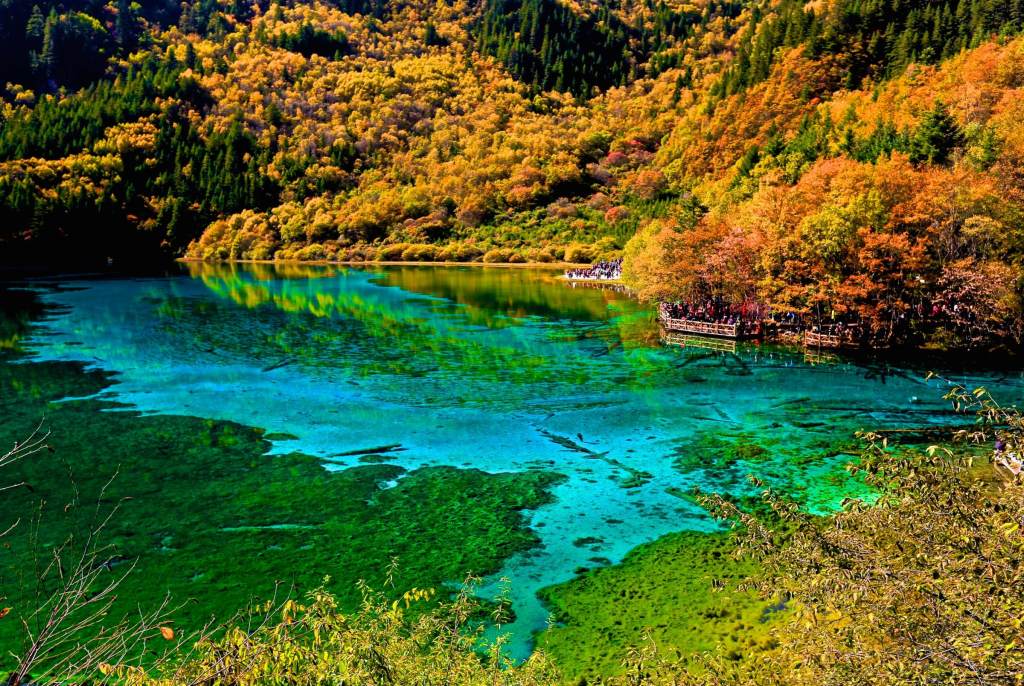 成都到九寨沟三日游线路都有哪些呢？1