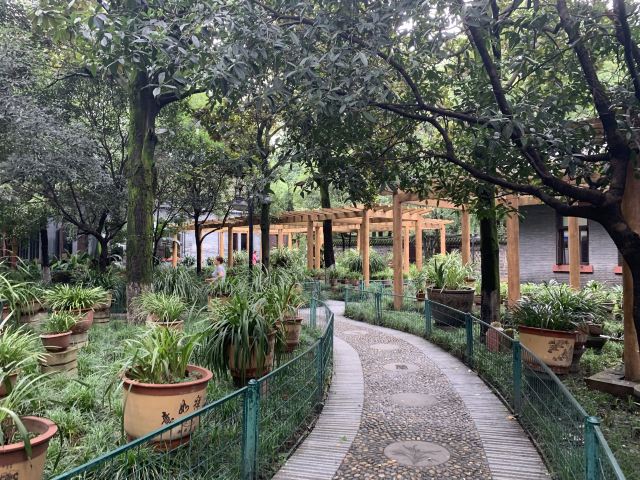 成都人民公园都有哪些好玩的项目?4